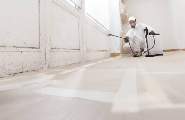 24/7 Emergency Mold Remediation experts in Freeburg, PA